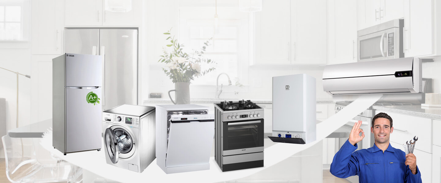 Doğanyurt Electrolux Servisi
